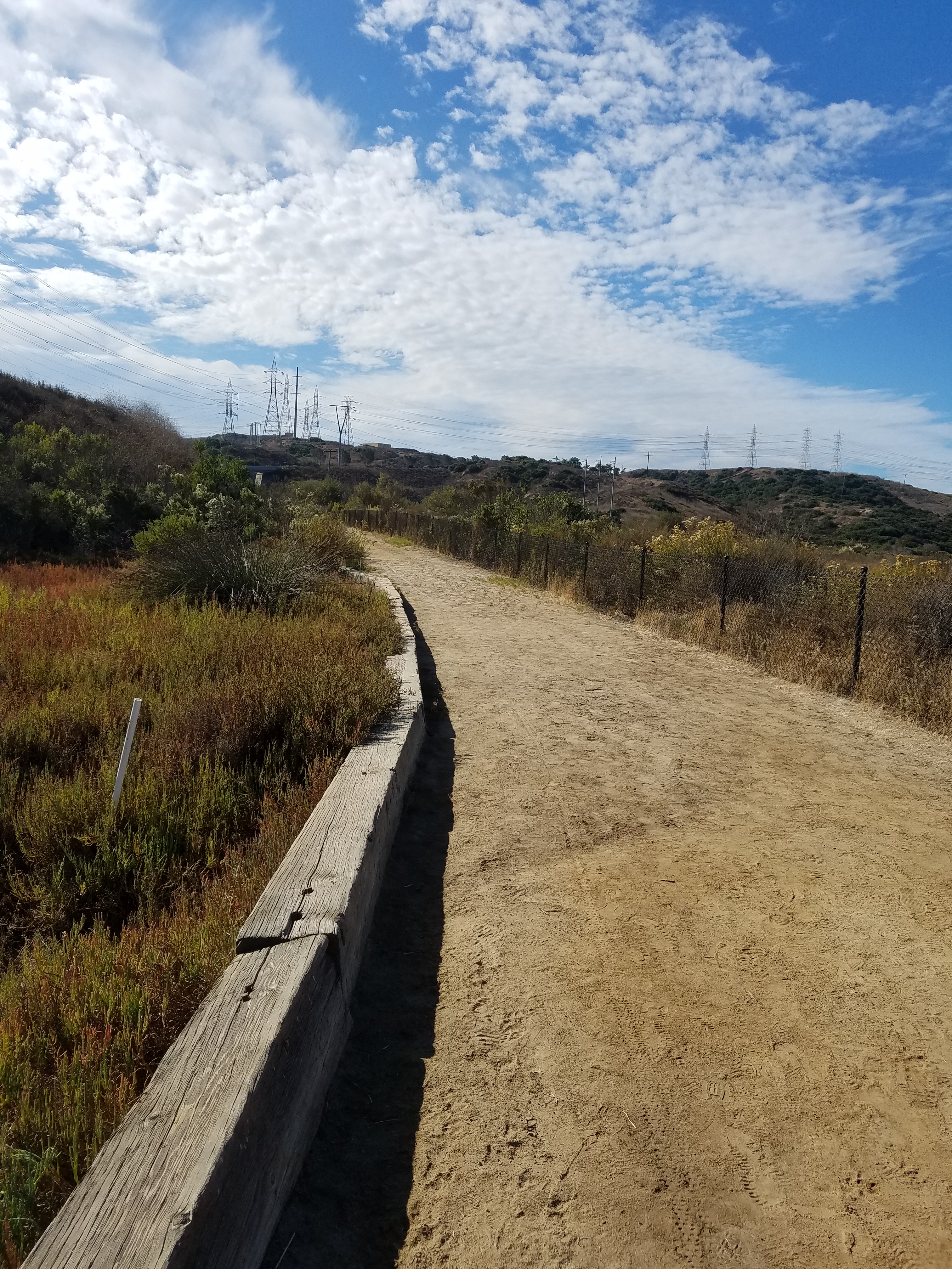 Trail and Garden Clean-Up - Aqua Hedionda Discovery Center