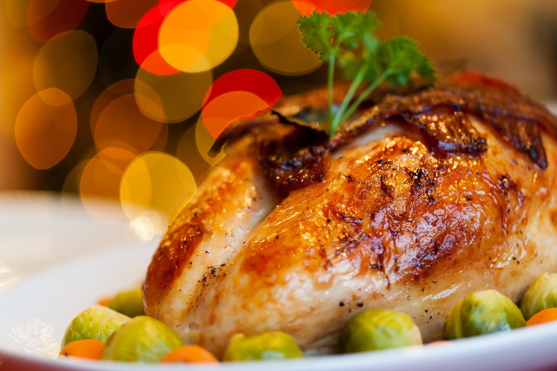 Thanksgiving Dinner - for Youth Transitioning Out of Foster Care – North County Lifeline