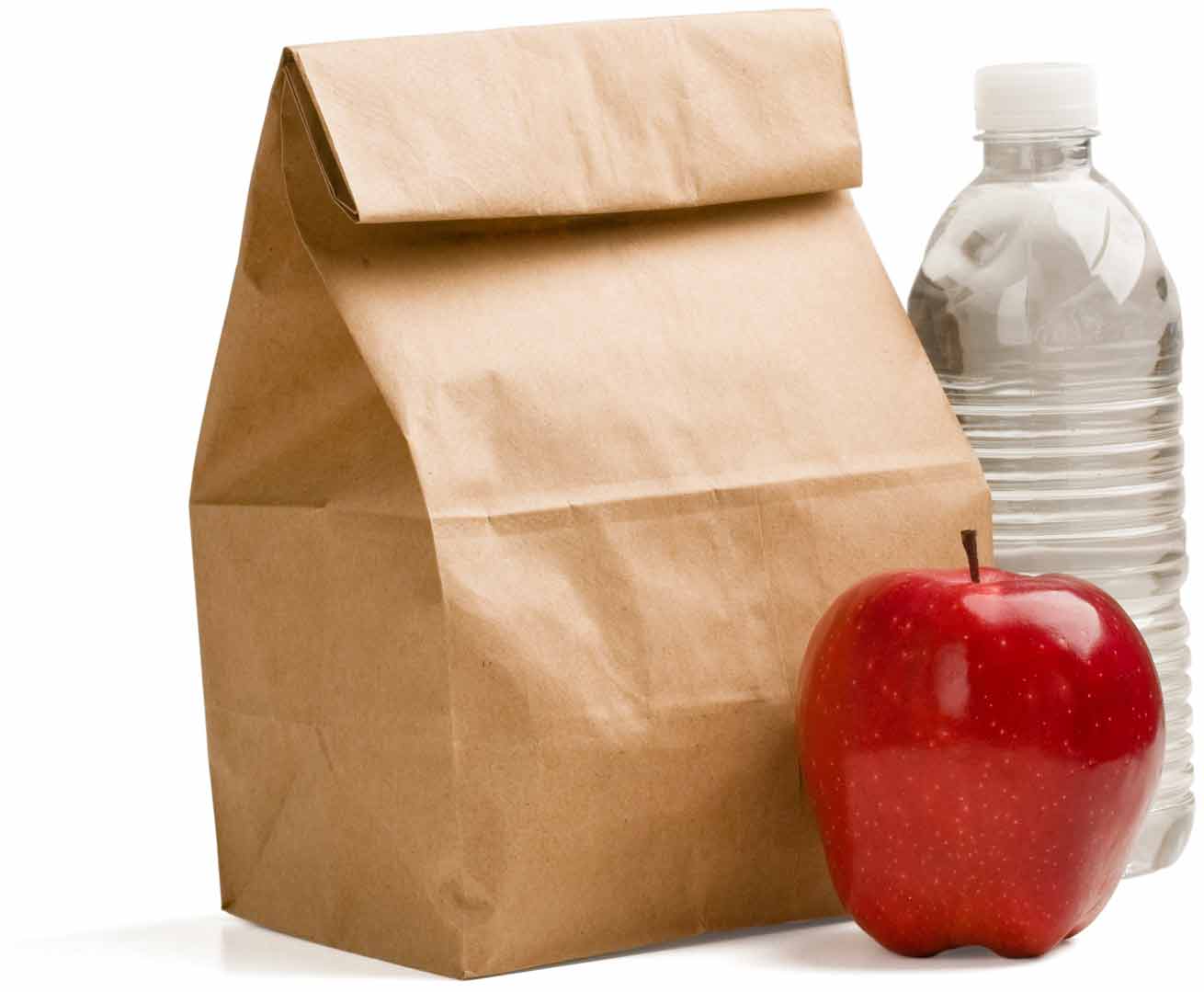 sack-lunchwith apple