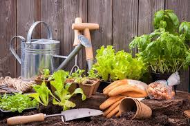 Alta Vista Senior Living:  Create a Spring Gardening Kit