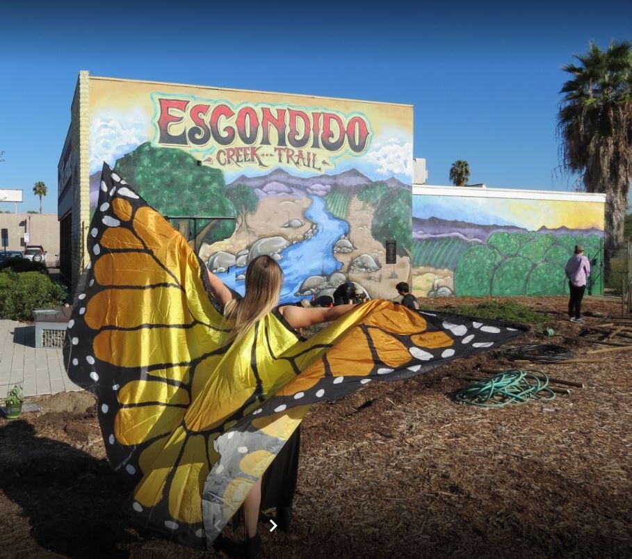 Escondido Creek Conservancy - Clean Up and Beautification