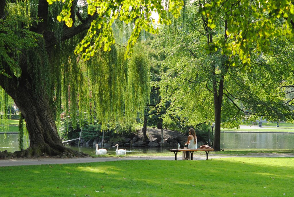 Park bench and lake