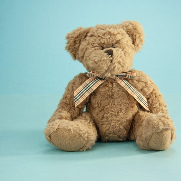 Comfort Cub Teddy Bear
